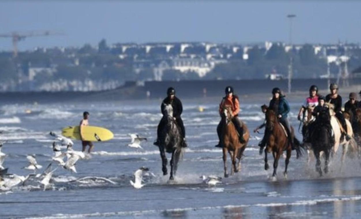 Ferienwohnung Les Echappees Belles De L'Ocean Le Pointeau Exterior foto